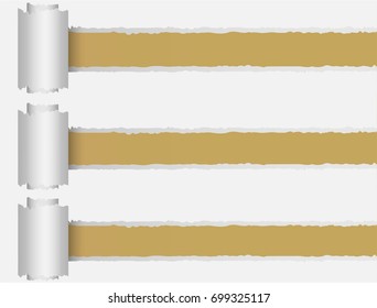 illustration ripped paper background with place for text