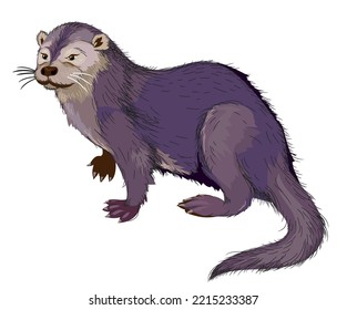 Illustration of river otter. Mammal of the weasel family. Wildlife animals. Isolated drawing on white background. Print for fabric, fashion, decoration, embroidery, wallpaper. Flat cartoon vector.