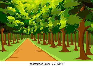 illustration of road going in between woods
