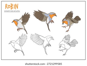 Ilustración de un pájaro petirrojo en poses dinámicas con contornos claros, enfatizando sus colores vibrantes y movimiento. Concepto de diseño animal