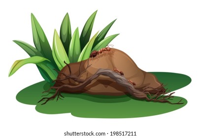 Illustration of a rock near the grass with a wood and ants on a white background