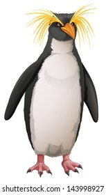 Illustration of the rockhopper penguin