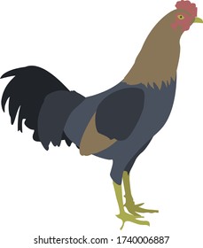 An illustration of a rooster.