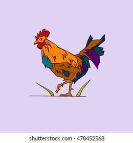 illustration of a rooster 