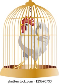 illustration with rooster in cage isolated on white background