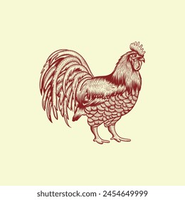 Ilustración de gallo con Plantilla de diseño de arte de estilo dibujado a mano, Plantilla de ilustración gráfica de elemento
