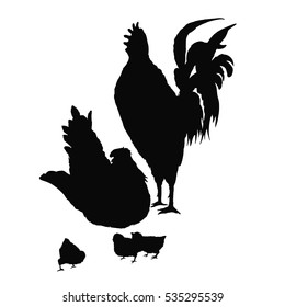 Illustration rooster, hen and chicken. Series of farm animals. Silhouette hand drawing birds family. Rooster fighter and a bully, ready to defend brood and chicken. Vintage engraving style.
