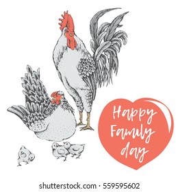 Illustration rooster and hen. Series of farm animals. Graphics, sketch, hand drawing birds family. Rooster fighter and a bully, ready to defend brood and chicken. Vintage engraving style. Family day