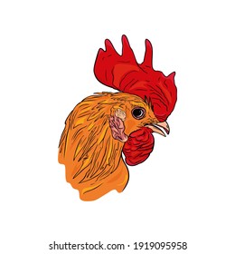 Ilustración de un gallo aislado por un transatlántico. Iconos de aves de corral para imprimir en una impresora, en blanco para diseñadores, granja agrícola
