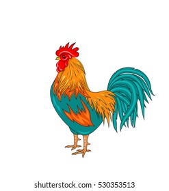 Illustration Rooster Isolated on White Background, Colorful Cartoon Cock, Hand Drawn Style - Vector