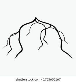 
illustration of roots in a flat style.