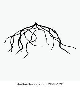 
illustration of roots in a flat style.
