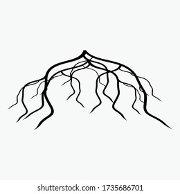 illustration of roots in a flat style.