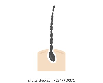 Illustration of rosary hair type.