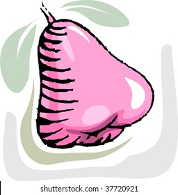 Illustration of rose apples found in India	