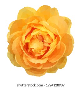 Illustration of a rose flower. A beautiful pink flower for use in the design of postcards, invitations,greetings.