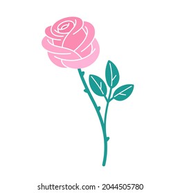 Illustration of rose flower. Contour vector colorful illustration for cosmetics, perfumeries and food packaging.