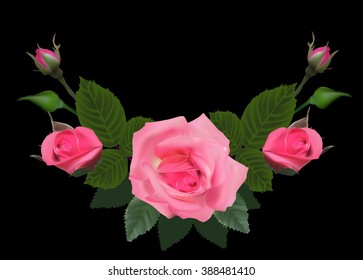 illustration with rose flower isolated on black background