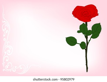 illustration with rose flower on light pink background