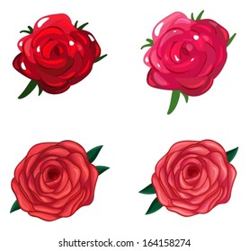 Illustration of a rose flower on a white background