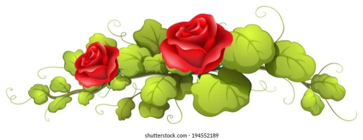 Illustration of a rose flower on a white background