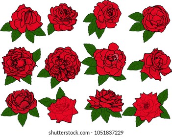 illustration with rose flowers isolated on white background