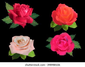 illustration with rose flowers isolated on black background