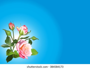 illustration with rose flowers on blue background