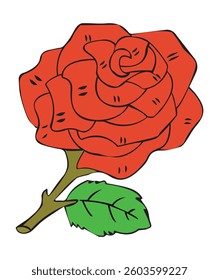 Illustration of a rose with green leaves