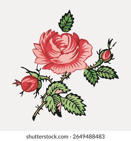Ilustração de uma rosa com folhas e botões. A rosa é vermelha, cercada por folhas verdes. Detalhada rosa desenho com pétalas vermelhas vibrantes e folhas verdes exuberantes. Vetor de ilustração de flor vintage.