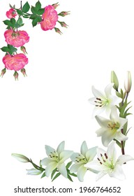 illustration with rose and lily flowers corners isolated on white background