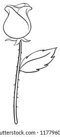 illustration of a rose on a white background