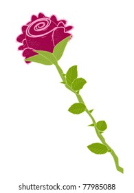 Illustration of rose on white background