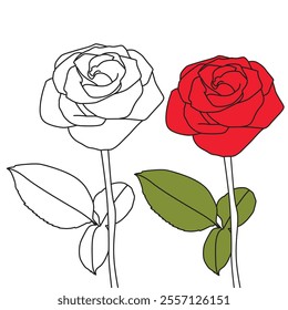 illustration of a rose silhouette