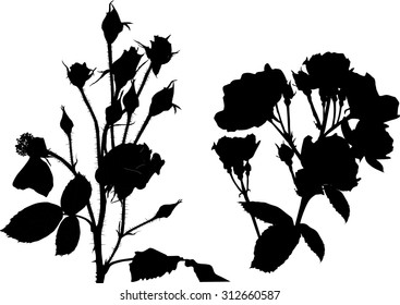 Collection Silhouettes Plants Flowers Stock Vector (Royalty Free) 282410222