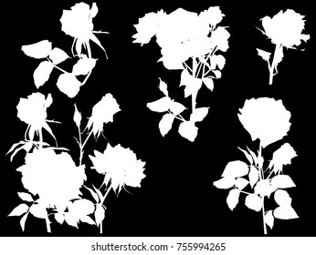 illustration with rose silhouettes isolated on black background