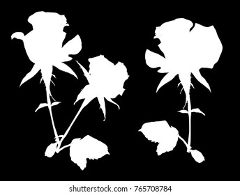 Illustration Rose Silhouettes Isolated On Black Stock Vector (Royalty ...