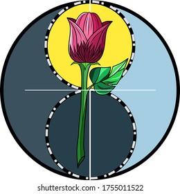 illustration of a rose. Suitable for designs on clothes, cellphone casings, garnishes on shopping bags, drink glasses or wall hangings.