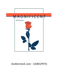 Illustration with rose for t shirt print and design. Magnificent flower.