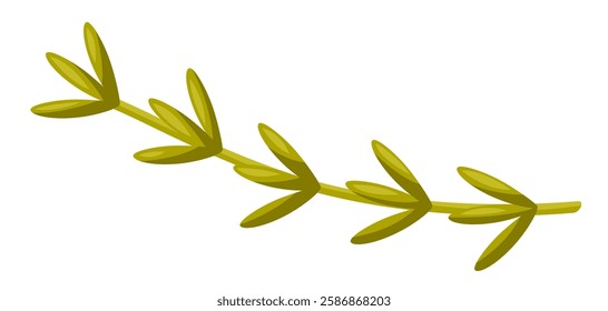 Illustration of rosemary. Stylized food object for cooking recipe and menu.