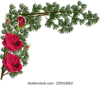 ilustración con composición de rosas sobre fondo blanco