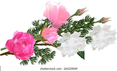 Abbildung mit Rosenzusammensetzung auf weißem Hintergrund