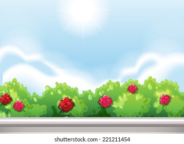 Illustration of the roses at the park