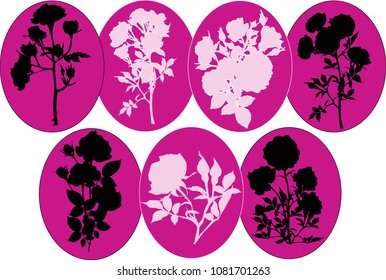 illustration with roses silhouettes isolated in pink ovals