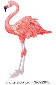 Illustration of rosy flamingo