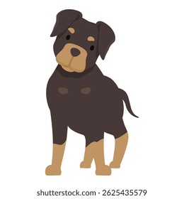 Illustration of a rottweiler standing and looking curiously, isolated on white background