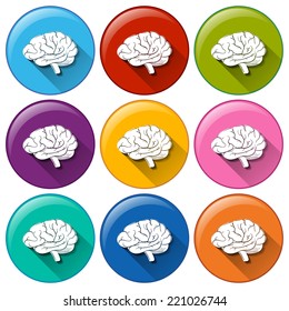 Illustration of the round buttons with an internal organ on a white background 