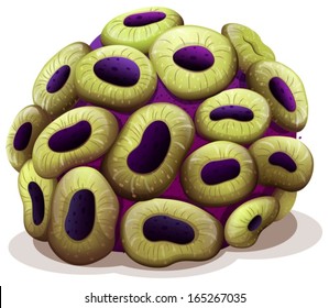 Illustration of a round coral reef on a white background