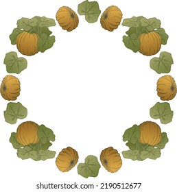 Illustration of a round frame made of pumpkin bushes and their fruits. Vegetables, pumpkin harvest. Ready to use eps10 for your design