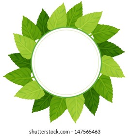 Illustration of a round green leafy border on a white background